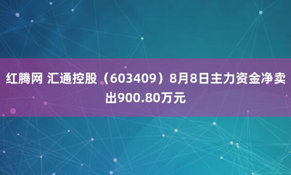 红腾网 汇通控股（603409）8月8日主力资金净卖出900.80万元