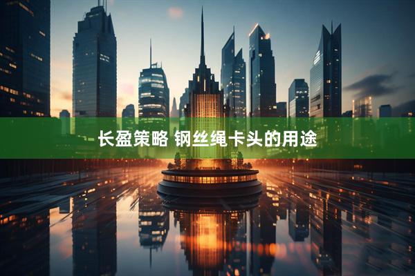 长盈策略 钢丝绳卡头的用途